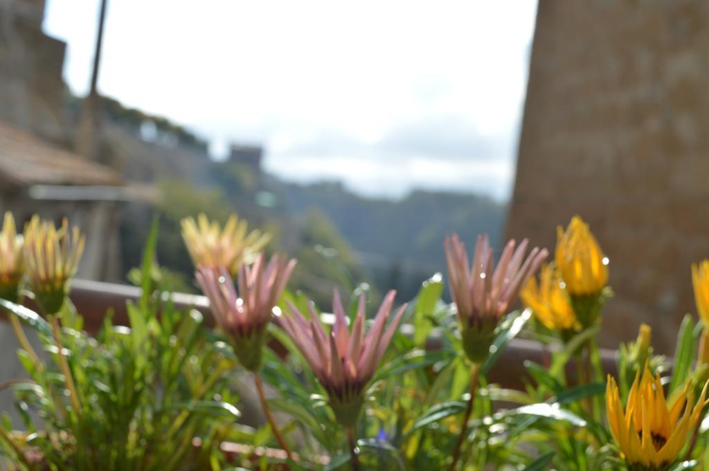 Casa Dei Lavatoi Pitigliano Apartment ภายนอก รูปภาพ