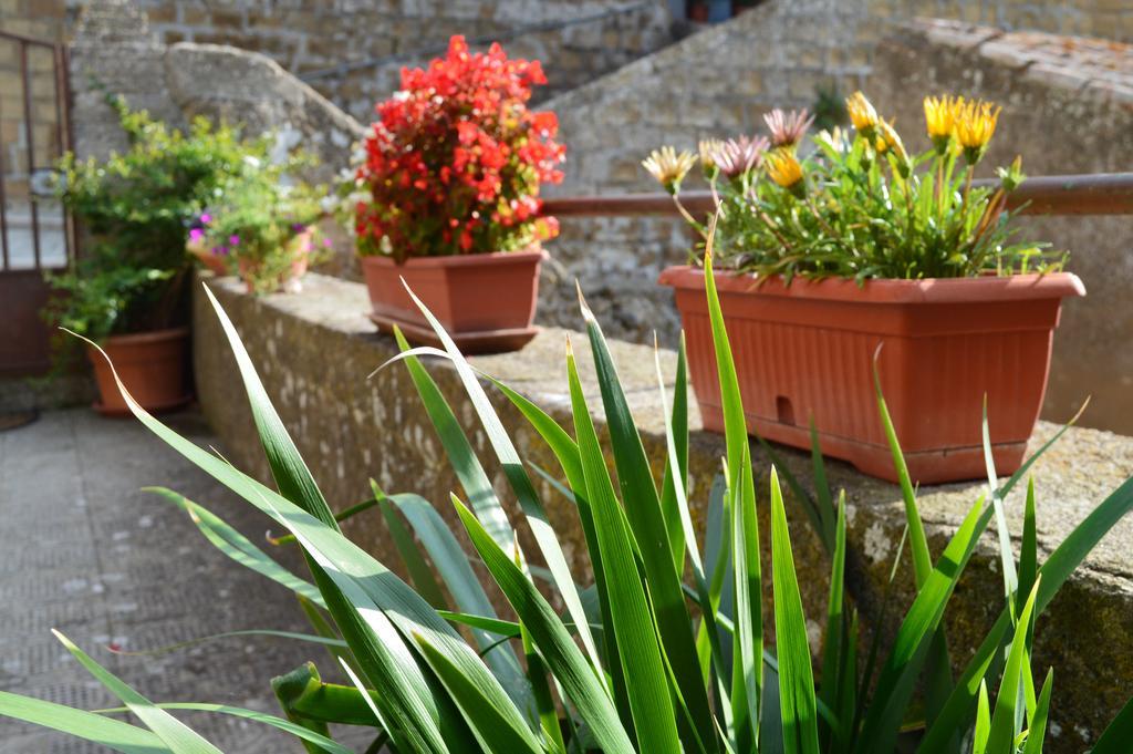 Casa Dei Lavatoi Pitigliano Apartment ภายนอก รูปภาพ